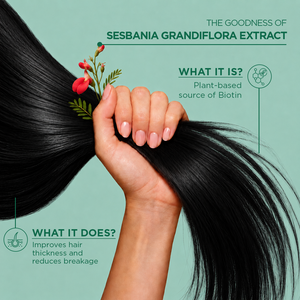 Hair, Nails & Skin Support (Biotin)