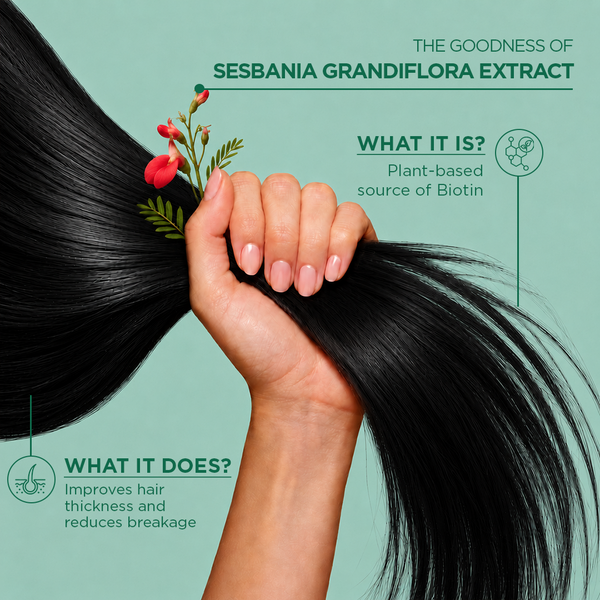 Hair, Nails & Skin Support (Biotin)