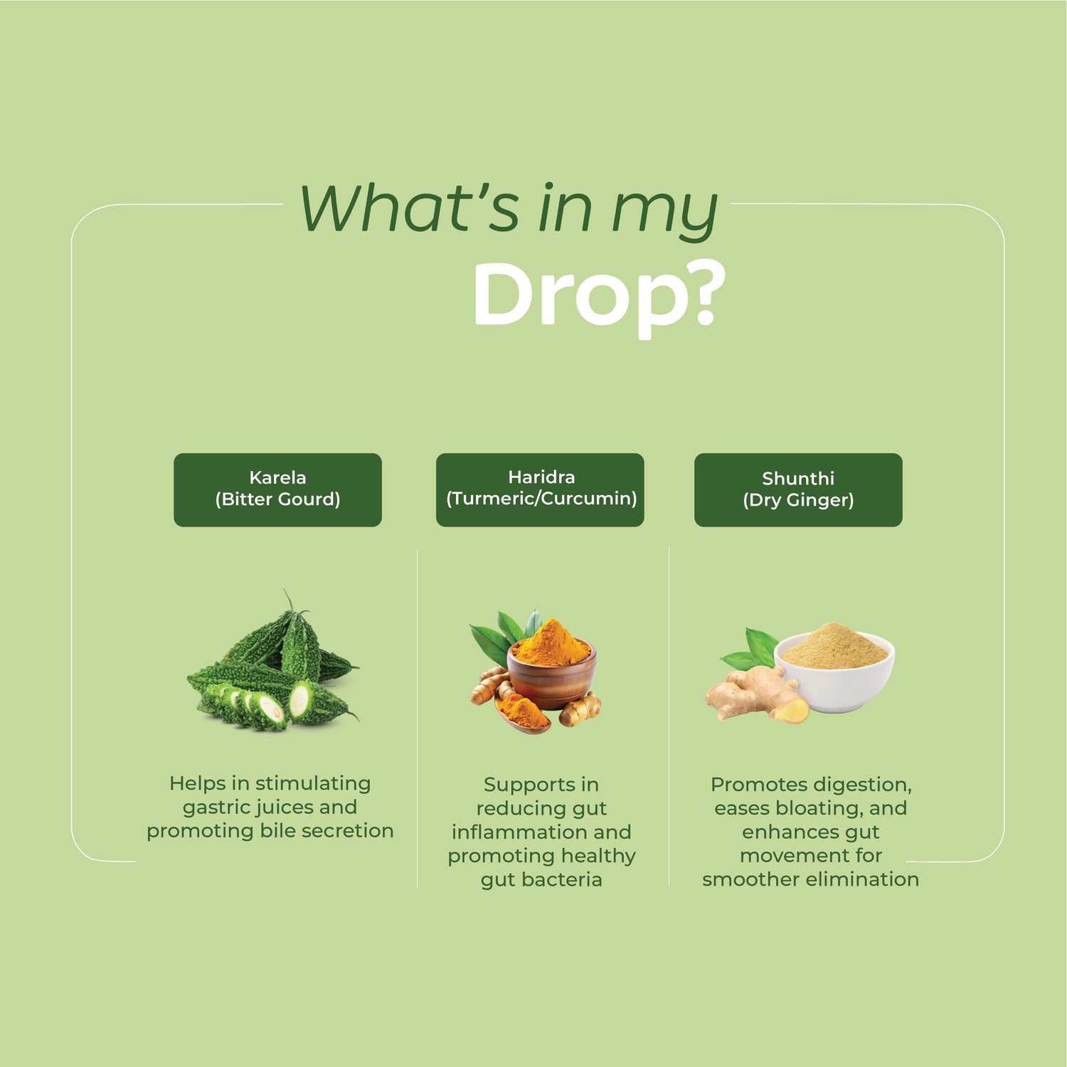 Gut Health Power Combo