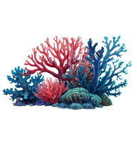 Coral Calcium