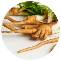 Prebiotic