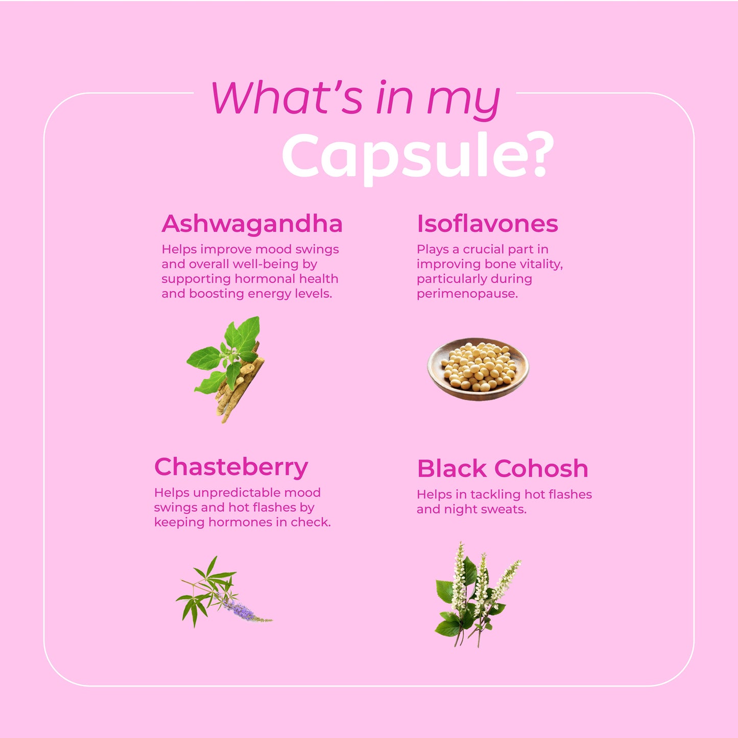 Perimenopause Multi Symtom Support - Capsule