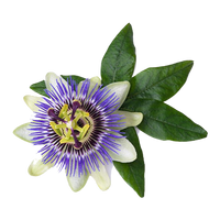 Passion Flower Extract