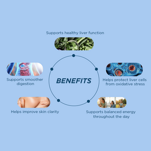 Liver Health Support
