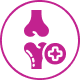 Supports bone health and vitality
