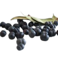 Tasmanian Pepper Berry