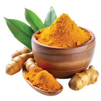 Haridra (Turmeric/Curcumin)