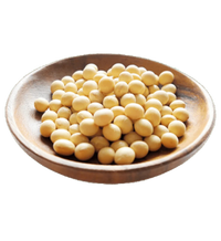 Isoflavones